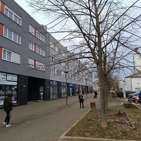 Pranjic Apartment Zaprešić Eksteriør billede
